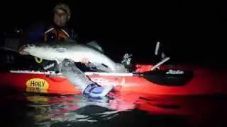 New England Striper Fishing - Hobie Revo Kayak Review