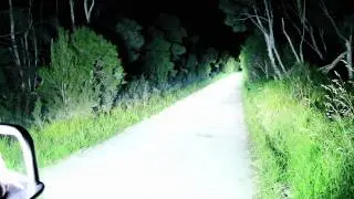 100W HID The brightest road registered car in the world 82,000 Lumens