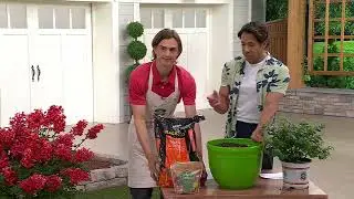 Roberta's Sungro 16 Qt Natural & Organic Potting Mix on QVC