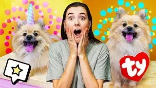 Making Halloween Costumes For My Dog!