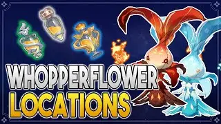 Whopperflower Locations - Whopperflower Nectar Farming route -【Genshin Impact】