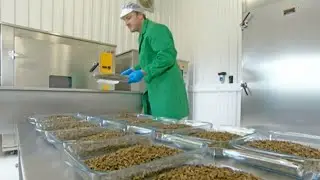 Lincolnshire's first edible insect farm