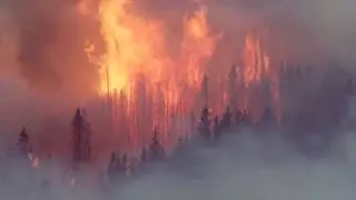 The Fight Against Climate Change