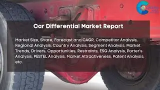 Car Differential Market Report 2024 | Forecast, Market Size, Growth, Trends