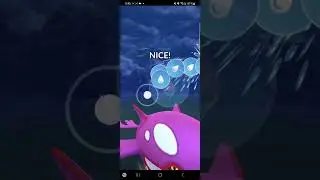 Kyogre shows why it's better for double charm | Go Battle League #masterleague #pokemongo