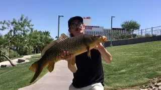 Laughlin Nevada Fishing Colorado River