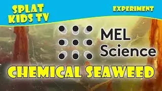 MELScience Chemical Seaweed Experiment for Kids