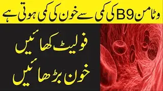Vitamin B9 Benefits Rich Food, And Deficiency Symptoms In Urdu Hindi