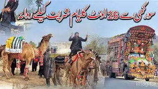Kalyam sharif Mela 2026 | Camel Ready for Kalyam sharif Mela | Surakhi Dadyal to Kalyam Sharif Mela