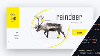 Web Design Speed Code | HTML, CSS & JAVASCRIPT (GSAP) | Reindeer