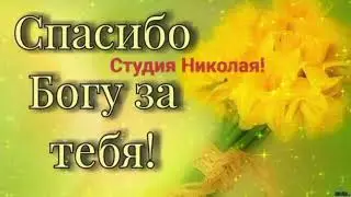 ДО СЛЁЗ КАКАЯ ЗАМЕЧАТЕЛЬНАЯ ПЕСНЯ О ЛЮБВИ!!!