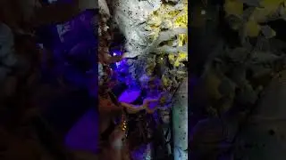 Chang Rai grot deel 1