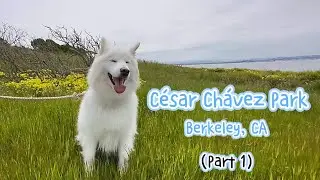 (Part 1) C&eacute;sar Ch&aacute;vez Park📍Berkeley, CA 🐾 dog friendly trail