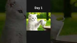Will the cup fall? (day1)