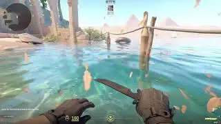 CS2 Water Physics Developer Gone Wild!