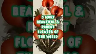 Incredibly Rare Flowers You Won't Believe Exist