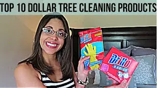 MY TOP 10 DOLLAR TREE CLEANING PRODUCTS | BUDGET FRIENDLY
