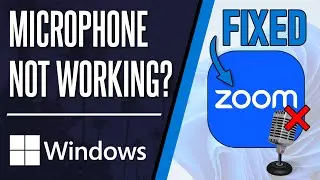 Как исправить неработающий микрофон в Zoom на ПК с Windows 10/11