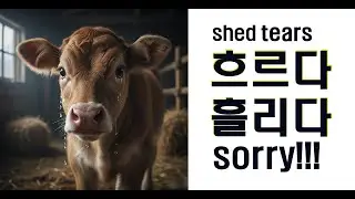 흐르다 흘리다