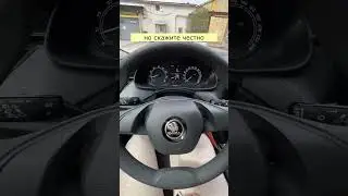 ШКОДА РАПИД ИЛИ КИТАЙЦЫ?  #китайскиемашины #автообзоры #шкода2022 #шкодарапид #skoda