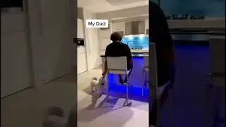 Poor Mum is so confused 😅 #mum #mom #dad #family #puppy #shorts