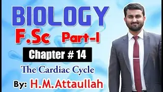 The Cardiac Cycle  | Chapter # 14 | Biology F.Sc Part - I