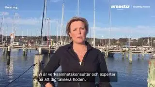 Amesto Solutions Sverige - Simplifying business