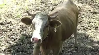 F&uuml;r die Mupfel
