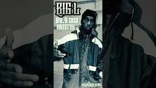 Big L Freestyle - Stretch and Bobbito Show 89.9 WKCR  #beats #rap #producer #hiphop #beatsrap #remix