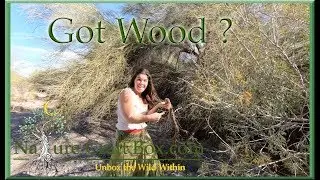 Toxic Wood of Arizona ~ Do Not Burn This Wood ~ Roadside Remedies