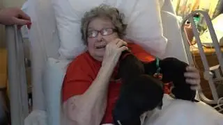 SURPRISE! Puppy-Gram Valentine