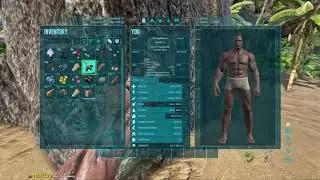 ARK: Survival Evolved  ( First default settings run)