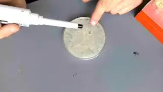 SEA-PHAGES: Выбор бляшки