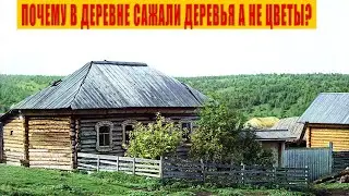 Почему в Деревне в Палисаднике сажали деревья и кустарники, а не цветы?