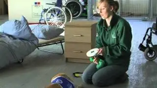 Dogs for the disabled