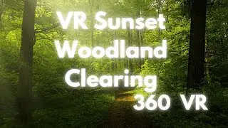 Nature Meditation Sounds. Relax in the Wilderness. 360 VR Video in 4K.