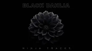 Ninja Tracks - Silent Kill