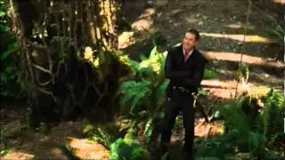 Once Upon a Time -- Everywhere