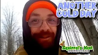 It's Another Cold Morning on our homestead 