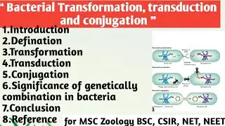 Bacterial Transformation | Transduction | Conjugation | Significance of genetically combination