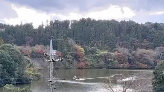 2024年12月7-8日 レイクサイド亀山キャンプ場