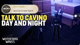 (Hidden Trophy) New Trophy✦ | Special Grade Spirit | Wuthering Waves