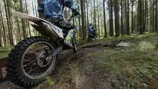Motorcycles - Forest, Free Background Video, Royalty Free Background Videos For Content Creators