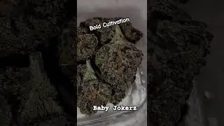 Bold Cultivation (Baby Jokerz) Delta West Memphis, Ar MMJ #deltawestmemphis #herbs #420