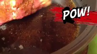 Root beer ribs