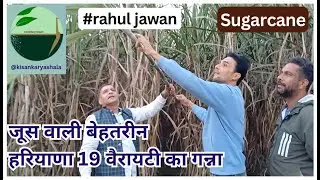 1066-Kisan karyashala : जूस वाली बेहतरीन हरियाणा 19 वैरायटी का गन्ना, Rahul Jawan के साथ।