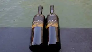 Gravner wine