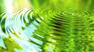 Meditation: Stretching Your Comfort Zone with Babaji