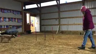Villyn entry work