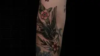 Old School Swallow Tattoo | Cover Up | Bali Tattoo Indonesia